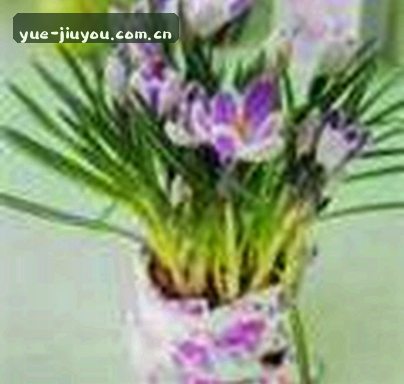 黄强